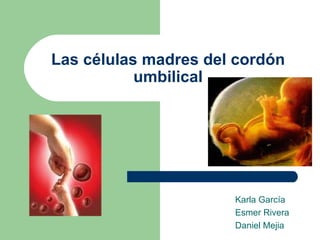 Las células madres del cordón umbilical Karla García Esmer Rivera Daniel Mejia 