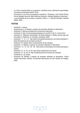 21
- La clínica imprescindible en pequeños mamíferos para veterinarios generalistas.
Formación Continuada AVEPA. 2012.
- Introducción a la clínica de pequeños mamíferos I: Roedores. Jordi Grífols Ronda,
Ferran Bargalló Saumell, Albert Martínez-Silvestre. Zoològic Badalona Veterinària.
- La enciclopedia de los conejos y roedores. Esther J. J. Verhoef-Verhallen. Editorial
LIBSA. 2002.
FOTOS
- Ilustración 1: propia.
- Ilustraciones 2 y 3: Manejo y sujeción de animales utilizados en laboratorio.
- Ilustración 4: Manual completo de la enfermería veterinaria.
- Ilustración 5: http://universocobaya.blogspot.com.es/2013_05_01_archive.html
- Ilustración 6: Objective interpretation of dental disease in rabbits, guinea pigs and
chinchillas. E. Boehmer; D. Crossley. Schattauer 2009
- Ilustración 7, 8 y 9: http://www.clinicaveterinariaexotics.com/index.php/blog/11-
blog/138-calaveras-de-animales-exoticos7
- Ilustración 10: trabajo sobre la alimentación de las cobayas.
- Ilustración 11: Manejo y sujeción de animales utilizados en laboratorio.
- Ilustración 12, 15, 23, 24, 26: http://www.mundocobaya.com/index.php/razas-y-
colores
- Ilustración 13, 14, 16, 18, 20: http://www.cobayasclub.com/razas/
- Ilustración 17, 19, 25, 27: http://smallcoby.jimdo.com/razas-de-cobayas/
- Ilustración 21, 22: propia.
- Ilustración 28: Manejo y sujeción de animales utilizados en laboratorio. Yesica
Yareth Hernández Jiménez. Universidad Michoacana de San Nicolás de Hidalgo.
2009.
 