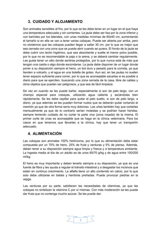7
3. CUIDADO Y ALOJAMIENTO
Son animales sensibles al frío, por lo que se les debe tener en un lugar en el que haya
una temperatura adecuada y sin corrientes. La jaula debe ser lisa por la zona inferior y
con barrotes por los laterales, con unas medidas mínimas de 60x40 cm, aumentando
el tamaño si en ella se van a tener varias cobayas. Puede ser abierta por arriba, pero
no olvidemos que las cobayas pueden llegar a saltar 30 cm, por lo que es mejor que
sea cerrada con una zona que se pueda abrir cuando se quiera. El fondo de la jaula se
debe cubrir con lecho higiénico, que sea absorbente y suelte el menor polvo posible,
por lo que no es recomendable la paja o la arena, y se deberá cambiar regularmente.
Les gusta tener un sitio donde sentirse protegidos, por lo que nunca está de más que
tengan una casita o algo donde esconderse. La jaula debe disponer de un lugar donde
poner a su disposición siempre el heno, un bol duro y pesado para la comida, ya que
tienden a volcarlo, y el agua en una botella de goteo. Aun así, en las jaulas no suelen
tener espacio suficiente para correr, por lo que es aconsejable sacarlas si es posible a
diario para que se ejerciten, buscando una zona cerrada de la casa, libre de cables y
otros objetos que puedan ser peligrosos, y que sea de fácil limpieza.
De vez en cuando se les puede bañar, especialmente si son de pelo largo, con un
champú especial para cobayas, utilizando agua caliente y secándolas bien
rápidamente. Se les debe cepillar para quitar el pelo suelto, si son de pelo largo, a
diario, ya que además se les pueden formar nudos que se deberán quitar cortando el
mechón ya que de otra forma sería muy doloroso. Las uñas también hay que cortarlas
mensualmente ya que de lo contrario serían molestas y se podrían hacer heridas,
siempre teniendo cuidado de no cortar la parte viva (zona rosada) de la misma. El
primer corte de unas es aconsejable que se haga en la clínica veterinaria. Para los
casos en que tenemos que llevarles a la clínica, hay que tener un transportín
adecuado.
4. ALIMENTACIÓN
Las cobayas son animales 100% herbívoros, por lo que su alimentación debe estar
compuesta por un 70% de heno, 25% de fruta y verduras y 5% de pienso. Además,
deben tener a su disposición siempre agua limpia y fresca y a temperatura ambiente.
La ingesta media al día de un adulto es de unos 60/70 g/kg y de agua entre 100/200
ml/kg.
El heno es muy importante y deben tenerlo siempre a su disposición, ya que es una
fuente de fibra y les ayuda a regular el tránsito intestinal y a desgastar los incisivos que
están en continuo crecimiento. La alfalfa tiene un alto contenido en calcio, por lo que
solo debe utilizarse en bebés y hembras preñadas. Puede provocar piedras en la
vejiga.
Las verduras por su parte, satisfacen las necesidades de vitaminas, ya que las
cobayas no sintetizan la vitamina C por sí mismas. Con más moderación se les puede
dar fruta que no contenga mucho azúcar. Se les puede dar:
 