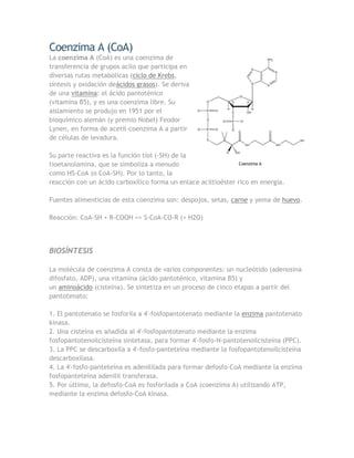 Coenzima A (CoA)
La coenzima A (CoA) es una coenzima de
transferencia de grupos acilo que participa en
diversas rutas metabólicas (ciclo de Krebs,
síntesis y oxidación deácidos grasos). Se deriva
de una vitamina: el ácido pantoténico
(vitamina B5), y es una coenzima libre. Su
aislamiento se produjo en 1951 por el
bioquímico alemán (y premio Nobel) Feodor
Lynen, en forma de acetil-coenzima A a partir
de células de levadura.

Su parte reactiva es la función tiol (-SH) de la
tioetanolamina, que se simboliza a menudo                       Coenzima A

como HS-CoA (o CoA-SH). Por lo tanto, la
reacción con un ácido carboxílico forma un enlace aciltioéster rico en energía.

Fuentes alimenticias de esta coenzima son: despojos, setas, carne y yema de huevo.

Reacción: CoA-SH + R-COOH => S-CoA-CO-R (+ H2O)




BIOSÍNTESIS

La molécula de coenzima A consta de varios componentes: un nucleótido (adenosina
difosfato, ADP), una vitamina (ácido pantoténico, vitamina B5) y
un aminoácido (cisteína). Se sintetiza en un proceso de cinco etapas a partir del
pantotenato:

1. El pantotenato se fosforila a 4'-fosfopantotenato mediante la enzima pantotenato
kinasa.
2. Una cisteína es añadida al 4'-fosfopantotenato mediante la enzima
fosfopantotenoilcisteína sintetasa, para formar 4'-fosfo-N-pantotenoilcisteína (PPC).
3. La PPC se descarboxila a 4'-fosfo-panteteína mediante la fosfopantotenoilcisteína
descarboxilasa.
4. La 4'-fosfo-panteteína es adenililada para formar defosfo-CoA mediante la enzima
fosfopanteteína adenilil transferasa.
5. Por último, la defosfo-CoA es fosforilada a CoA (coenzima A) utilizando ATP,
mediante la enzima defosfo-CoA kinasa.
 