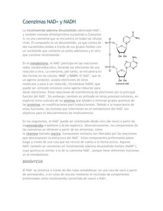 Coenzimas NAD+ y NADH
La nicotinamida adenina dinucleótido (abreviado NAD+,
y también llamada difosfopiridina nucleótido y Coenzima
I), es una coenzima que se encuentra en todas las células
vivas. El compuesto es un dinucleótido, ya que consta de
dos nucleótidos unidos a través de sus grupos fosfato con
un nucleótido que contiene un anillo adenosina y el otro
que contiene nicotinamida.

En el metabolismo, el NAD+ participa en las reacciones
redox (oxidorreducción), llevando los electrones de una
reacción a otra. La coenzima, por tanto, se encuentra en
dos formas en las células: NAD+ y NADH. El NAD+, que es
un agente oxidante, acepta electrones de otras
moléculas y pasa a ser reducido, formándose NADH, que               Coenzima NAD

puede ser utilizado entonces como agente reductor para
donar electrones. Estas reacciones de transferencia de electrones son la principal
función del NAD+. Sin embargo, también es utilizado en otros procesos celulares, en
especial como sustrato de las enzimas que añaden o eliminan grupos químicos de
las proteínas, en modificaciones post-traduccionales. Debido a la importancia de
estas funciones, las enzimas que intervienen en el metabolismo del NAD+ son
objetivos para el descubrimiento de medicamentos.

En los organismos, el NAD+ puede ser sintetizado desde cero (de novo) a partir de
losaminoácidos triptófano o ácido aspártico. Alternativamente, los componentes de
las coenzimas se obtienen a partir de los alimentos, como
la vitamina llamada niacina. Compuestos similares son liberados por las reacciones
que descomponen la estructura del NAD+. Estos componentes preformados pasan
luego a través de una ruta que los recicla de vuelta a la forma activa. Algunos
NAD+ también se convierten en nicotinamida adenina dinucleótido fosfato (NADP+),
cuya química es similar a la de la coenzima NAD+, aunque tiene diferentes funciones
en el metabolismo.

BIOSÍNTESIS

El NAD+ se sintetiza a través de dos rutas metabólicas: en una ruta de novo a partir
de aminoácidos, o en rutas de rescate mediante el reciclado de componentes
preformados como nicotinamida convertida de nuevo a NAD+.
 