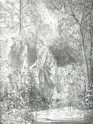 Las colecciones Gustavo Dore la divina comedia