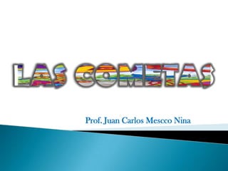 Prof. Juan Carlos Mescco Nina
 