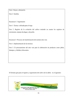 55
Foto1. Hoyeo y abonación.
Foto 2. Siembra
Secuencia 4. Seguimiento
Foto 1. Técnica utilizada para el riego
Foto 2. Registro de la evolución del cultivo teniendo en cuenta los registros de
crecimiento, manejo de plagas y desyerbe.
Secuencia 5. Procesos de transformación del sustrato aloe vera.
Foto 1. Implementación de las técnicas
Foto 2. El procesamiento del aloe vera para la elaboración de productos como jabón,
shampoo, y bebidas refrescantes.
El formato guía para el registro y seguimiento del cultivo de la sábila es el siguiente:
 