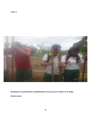 85
Anexo 1
Estudiantes de grado décimo acondicionando el terreno para el cultivo de la sábila
Fuente autora
 