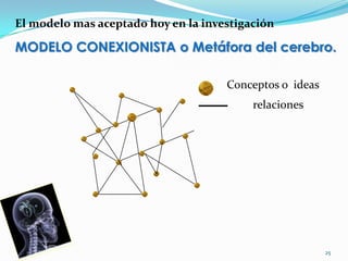 El modelo mas aceptado hoy en la investigación

MODELO CONEXIONISTA o Metáfora del cerebro.

                                     Conceptos o ideas
                                          relaciones




                                                         25
 