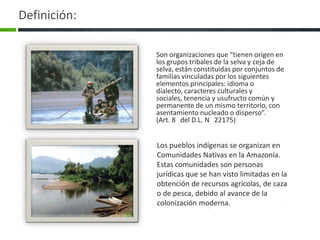 Definición:  Son organizaciones que “tienen origen en los grupos tribales de la selva y ceja de selva, están constituidas por conjuntos de familias vinculadas por los siguientes elementos principales: idioma o dialecto, caracteres culturales y sociales, tenencia y usufructo común y permanente de un mismo territorio, con asentamiento nucleado o disperso”.(Art. 8° del D.L. N° 22175)Los pueblos indígenas se organizan en Comunidades Nativas en la Amazonía. Estas comunidades son personas jurídicas que se han visto limitadas en la obtención de recursos agrícolas, de caza o de pesca, debido al avance de la colonización moderna.