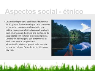 Aspectos social - étnicoLa Amazonía peruana está habitada por más de 50 grupos étnicos en el que cada uno tiene un estrecho vínculo con el territorio que habita, porque para los indígenas el territorio es el embrión que dio inicio a la existencia de sus pueblos con culturas e identidad propia. La relación del indígena con el territorio es vital, pues este le proporciona alimentación, vivienda y en él se le permite recrear su cultura. Para ello sin territorio no hay vida.  Aspectos Económico:Las actividades económicas son incipientes y aún de carácter primitivo, como  agricultura, pesca, caza, recolección, artesanía, entre otros.