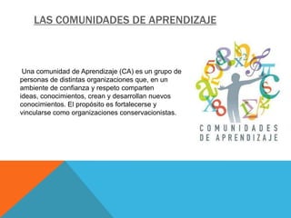 Las comunidades de aprendizaje | PPTX