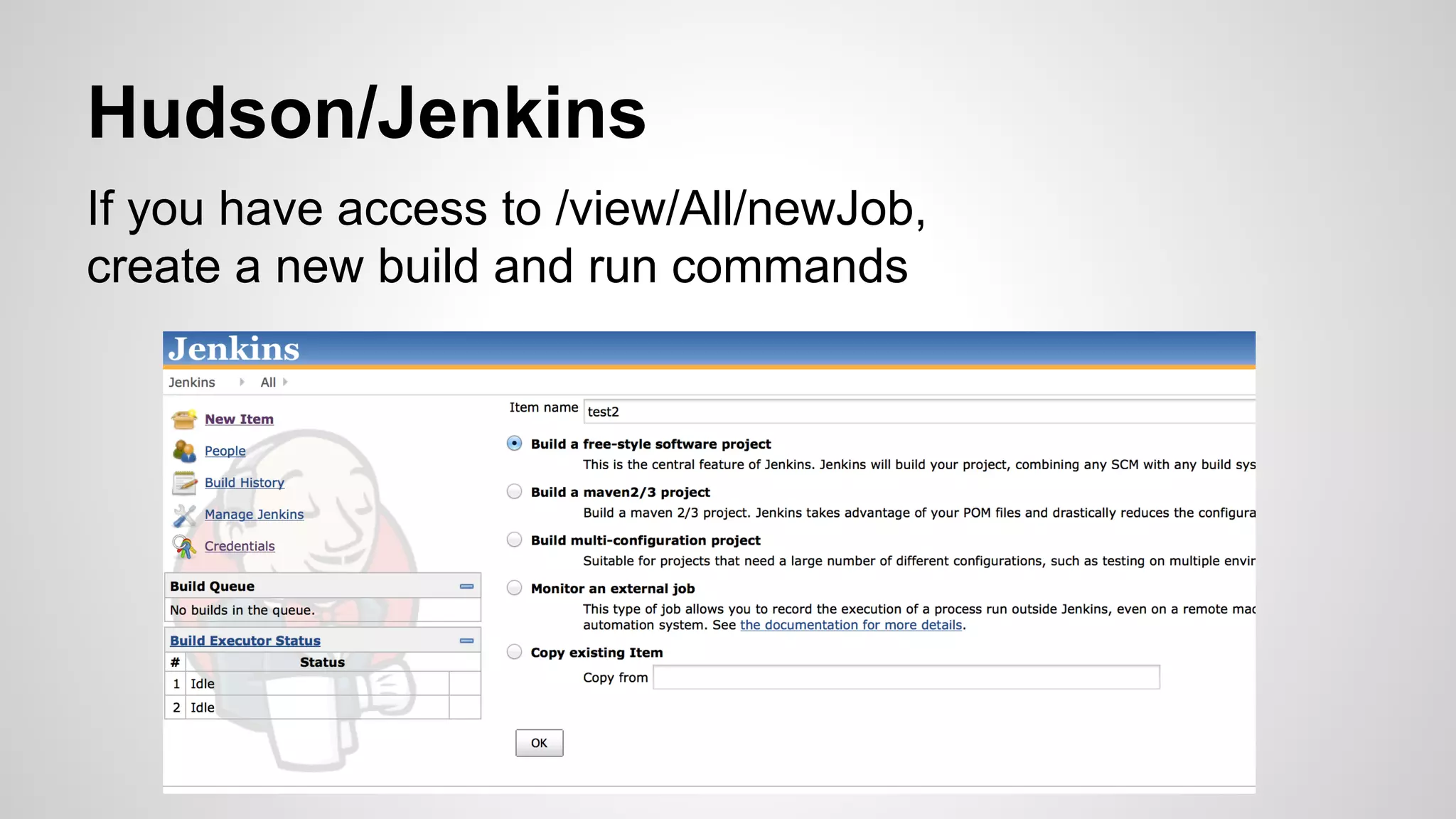 Hudson/Jenkins 
If you have access to /view/All/newJob, 
create a new build and run commands 
 