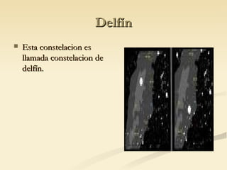 Delfín Esta constelacion es llamada constelacion de delfín. 