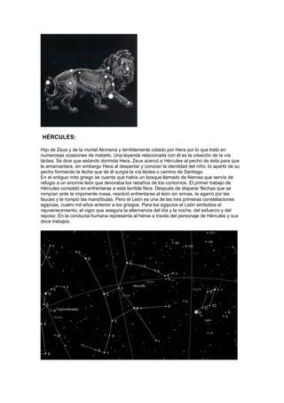 HÉRCULES:

Hijo de Zeus y de la mortal Alcmena y terriblemente odiado por Hera por lo que trató en
numerosas ocasiones de matarlo. Una leyenda relacionada con él es la creación de la vía
láctea. Se dice que estando dormida Hera, Zeus acercó a Hércules al pecho de ésta para que
le amamantara, sin embargo Hera al despertar y conocer la identidad del niño, lo apartó de su
pecho formando la leche que de él surgía la vía láctea o camino de Santiago
En el antiguo mito griego se cuenta que había un bosque llamado de Nemea que servía de
refugio a un enorme león que devoraba los rebaños de los contornos. El primer trabajo de
Hércules consistió en enfrentarse a esta terrible fiera. Después de disparar flechas que se
rompían ante la imponente masa, resolvió enfrentarse al león sin armas, le agarró por las
fauces y le rompió las mandíbulas. Pero el León es una de las tres primeras constelaciones
egipcias, cuatro mil años anterior a los griegos. Para los egipcios el León simboliza el
rejuvenecimiento, el vigor que asegura la alternancia del día y la noche, del esfuerzo y del
reposo. En la conducta humana representa al héroe a través del personaje de Hércules y sus
doce trabajos.
 