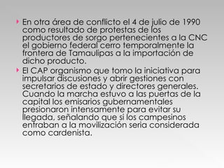 En otra área de conflicto el 4 de julio de 1990 como resultado de protestas de los productores de sorgo pertenecientes a la CNC el gobierno federal cerro temporalmente la frontera de Tamaulipas a la importación de dicho producto. El CAP organismo que tomo la iniciativa para impulsar discusiones y abrir gestiones con secretarios de estado y directores generales. Cuando la marcha estuvo a las puertas de la capital los emisarios gubernamentales presionaron intensamente para evitar su llegada, señalando que si los campesinos entraban a la movilización seria considerada como cardenista. 