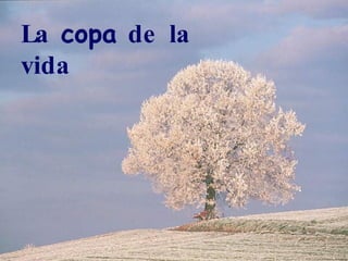 La  copa  de la vida 