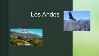 z
Los Andes
 