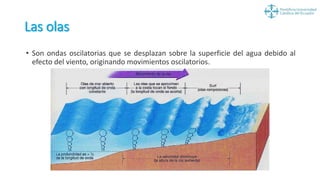 Las olas
• Son ondas oscilatorias que se desplazan sobre la superficie del agua debido al
efecto del viento, originando movimientos oscilatorios.
 