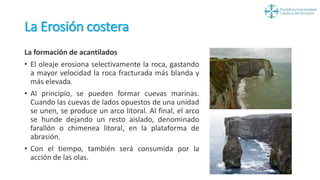 La Erosión costera
La formación de acantilados
• El oleaje erosiona selectivamente la roca, gastando
a mayor velocidad la roca fracturada más blanda y
más elevada.
• Al principio, se pueden formar cuevas marinas.
Cuando las cuevas de lados opuestos de una unidad
se unen, se produce un arco litoral. Al final, el arco
se hunde dejando un resto aislado, denominado
farallón o chimenea litoral, en la plataforma de
abrasión.
• Con el tiempo, también será consumida por la
acción de las olas.
 
