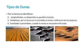 • Por su forma se identifican:
4. Longitudinales, su disposición es paralela al viento.
5. Parabólicas, por su forma en U orientada al viento, a diferencia de los barjanes.
6. Estrelladas o piramidales, cuando la cresta se encuentra trifurcada.
Tipos de Dunas
 