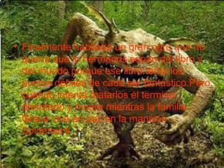 • Finalmente habitaba un gran ogro que no
quería que lo hermanos sepan del libro y
del mundo porque ese libro tenía los
puntos débiles de cada ser fantástico.Pero
cuando intenta matarlos él termina
derrotado y muere mientras la familia
Grace vive en paz en la mansión
Spiderwick.