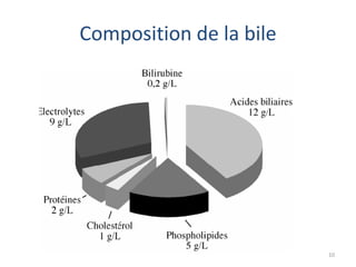 Composition de la bile




                         10
 