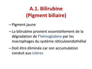 A.1. Bilirubine
          (Pigment biliaire)
– Pigment jaune
– La bilirubine provient essentiellement de la
  dégradation de l’hémoglobine par les
  macrophages du système réticuloendothélial
– Doit être éliminée car son accumulation
  conduit aux ictères
 