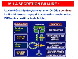 IV. LA SECRETION BILIAIRE :
La cholérèse hépatocytaire est une sécrétion continue
Le flux biliaire correspond à la sécrétion continue des
Différents constituants de la bile.


         Canalicule
         Biliaire




        Vésicule
        Biliaire



                                                          21
 