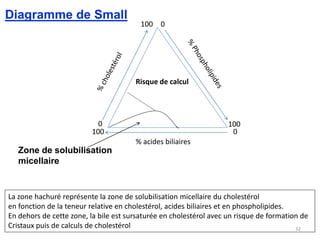 Diagramme de Small
                                         100 0




                                       Risque de calcul




                           0                                        100
                         100                                         0
                                       % acides biliaires
   Zone de solubilisation
   micellaire


La zone hachuré représente la zone de solubilisation micellaire du cholestérol
en fonction de la teneur relative en cholestérol, acides biliaires et en phospholipides.
En dehors de cette zone, la bile est sursaturée en cholestérol avec un risque de formation de
Cristaux puis de calculs de cholestérol                                                  32
 