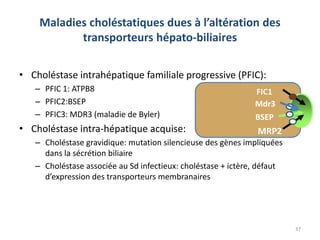 Maladies choléstatiques dues à l’altération des
           transporteurs hépato-biliaires

• Choléstase intrahépatique familiale progressive (PFIC):
   – PFIC 1: ATPB8                                            FIC1
   – PFIC2:BSEP                                               Mdr3
   – PFIC3: MDR3 (maladie de Byler)                           BSEP
• Choléstase intra-hépatique acquise:                          MRP2
   – Choléstase gravidique: mutation silencieuse des gènes impliquées
     dans la sécrétion biliaire
   – Choléstase associée au Sd infectieux: choléstase + ictère, défaut
     d’expression des transporteurs membranaires




                                                                         37
 