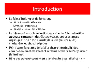 Introduction
• Le foie a Trois types de fonctions
   – Filtration – détoxification
   – Synthèse (protéines..)
   – Sécrétion et excrétion biliaire
• La bile représente la sécrétion exocrine du foie : sécrétion
  aqueuse contenant des électrolytes et des substances
  organiques : bilirubine, acides biliaires (sels biliaires)
  cholestérol et phospholipides
• Principales fonctions de la bile: absorption des lipides,
  élimination du cholestérol et certains déchets de l’organisme
  (bilirubine).
• Rôle des transporteurs membranaires hépato-biliaires ++++

                                                                  5
 