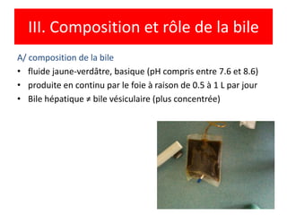 III. Composition et rôle de la bile
A/ composition de la bile
• fluide jaune-verdâtre, basique (pH compris entre 7.6 et 8.6)
• produite en continu par le foie à raison de 0.5 à 1 L par jour
• Bile hépatique ≠ bile vésiculaire (plus concentrée)




                                                                   9
 