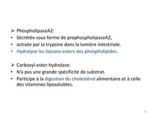    PhospholipaseA2:
•   Sécrétée sous forme de prophospholipaseA2,
•   activée par la trypsine dans la lumière intestinale.
•   Hydrolyse les liaisons esters des phospholipides.

 Carboxyl-ester-hydrolase:
• N’a pas une grande spécificité de substrat.
• Participe à la digestion du cholestérol alimentaire et à celle
  des vitamines liposolubles.




                                                                   15
 