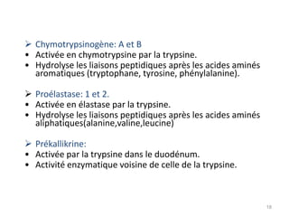  Chymotrypsinogène: A et B
• Activée en chymotrypsine par la trypsine.
• Hydrolyse les liaisons peptidiques après les acides aminés
  aromatiques (tryptophane, tyrosine, phénylalanine).

 Proélastase: 1 et 2.
• Activée en élastase par la trypsine.
• Hydrolyse les liaisons peptidiques après les acides aminés
  aliphatiques(alanine,valine,leucine)

 Prékallikrine:
• Activée par la trypsine dans le duodénum.
• Activité enzymatique voisine de celle de la trypsine.



                                                               18
 