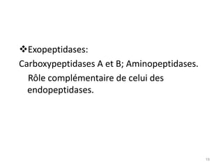 Exopeptidases:
Carboxypeptidases A et B; Aminopeptidases.
  Rôle complémentaire de celui des
  endopeptidases.




                                             19
 