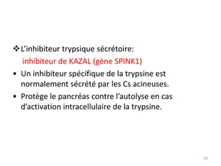 L’inhibiteur trypsique sécrétoire:
  inhibiteur de KAZAL (gène SPINK1)
• Un inhibiteur spécifique de la trypsine est
  normalement sécrété par les Cs acineuses.
• Protège le pancréas contre l’autolyse en cas
  d’activation intracellulaire de la trypsine.




                                                 20
 