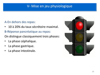 V- Mise en jeu physiologique



A-En dehors des repas:
• 10 à 20% du taux sécrétoire maximal.
B-Réponse pancréatique au repas:
On distingue classiquement trois phases:
• La phase céphalique.
• La phase gastrique.
• La phase intestinale.




                                               26
 