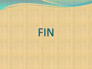 FIN
 