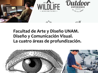 Facultad de Arte y Diseño UNAM.
Diseño y Comunicación Visual.
La cuatro áreas de profundización.
 