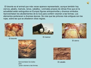 El bisonte es el animal que más veces aparece representado, aunque también hay ciervos, jabalís, mamuts, renos, caballos, ( animales propios de climas fríos que en la actualidad están extinguidos en Europa) figuras antropomorfas y diversos símbolos. Aprovechaban los abultamientos de la roca para conferir volumen a las formas. Los elementos pertenecen a diversas épocas. Se cree que las pinturas más antiguas son las rojas, sobre las que se añadieron otras negras. El bisonte El ciervo Aprovechaban los bultos para poner volumen a las formas. El mamut El caballo 