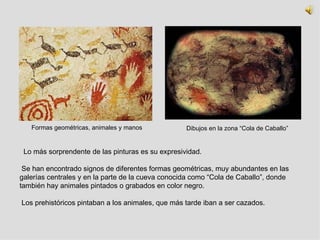 Lo más sorprendente de las pinturas es su expresividad. Se han encontrado signos de diferentes formas geométricas, muy abundantes en las galerías centrales y en la parte de la cueva conocida como “Cola de Caballo”, donde también hay animales pintados o grabados en color negro. Los prehistóricos pintaban a los animales, que más tarde iban a ser cazados. Formas geométricas, animales y manos Dibujos en la zona “Cola de Caballo” 