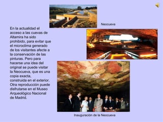 En la actualidad el acceso a las cuevas de Altamira ha sido prohibido, para evitar que el microclima generado de los visitantes afecte a la conservación de las pinturas. Pero para hacerse una idea del original se puede visitar la Neocueva, que es una copia exacta, construida en el exterior. Otra reproducción puede disfrutarse en el Museo  Arqueológico Nacional  de Madrid. Inauguración de la Neocueva Neocueva 