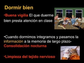 Dormir bien 
•Buena vigilia El que duerme 
bien presta atención en clase 
•Cuando dormimos integramos y pasamos la 
información a la memoria de largo plazo- 
Consolidación nocturna 
•Limpieza del tejido nervioso 
 