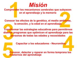 Misión Com1prender los mecanismos cerebrales que subyacen 
en el aprendizaje y la memoriaConocer los efectos de la genética, el medio 2ambiente, 
la emoción, y la edad en el aprendizaje 3Transformar las estrategias educativas para permitirnos 
personas de todas las edades y necesidadesCapacitar a los educadores - Neuromit4os 5Conocer, detectar y reparar en forma temprana los 
diseñar programas que optimicen el aprendizaje para las 
trastornos del aprendizaje 
 
