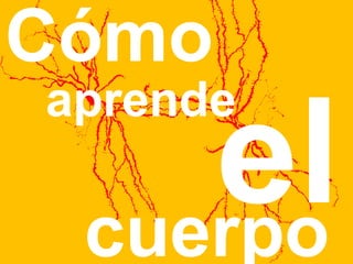 Cómo 
cuerpo el aprende 
 
