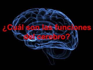 ¿Cuál son las funciones 
del cerebro? 
 