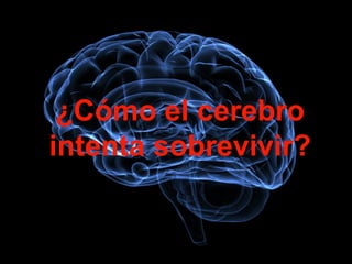 ¿Cómo el cerebro 
intenta sobrevivir? 
 