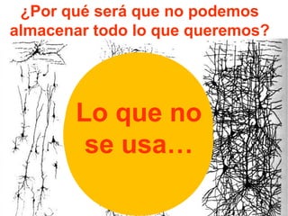 ¿Por qué será que no podemos 
almacenar todo lo que queremos? 
El saber 
ocupa 
lugar 
Lo que no 
se usa… 
El ambiente 
cambia 
 
