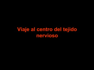Viaje al centro del tejido 
nervioso 
 