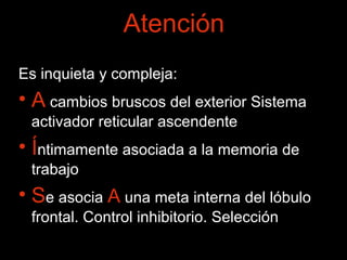 Atención 
Es inquieta y compleja: 
• A cambios bruscos del exterior Sistema 
activador reticular ascendente 
• Íntimamente asociada a la memoria de 
trabajo 
• Se asocia A una meta interna del lóbulo 
frontal. Control inhibitorio. Selección 
 