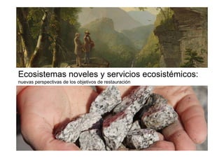 Ecosistemas noveles y servicios ecosistémicos:
nuevas perspectivas de los objetivos de restauración
 