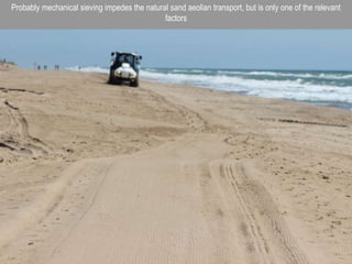 Probably mechanical sieving impedes the natural sand aeolian transport, but is only one of the relevant
factors
 